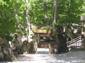  Albergo Ristorante Montecucco da Tobia  Сигилло